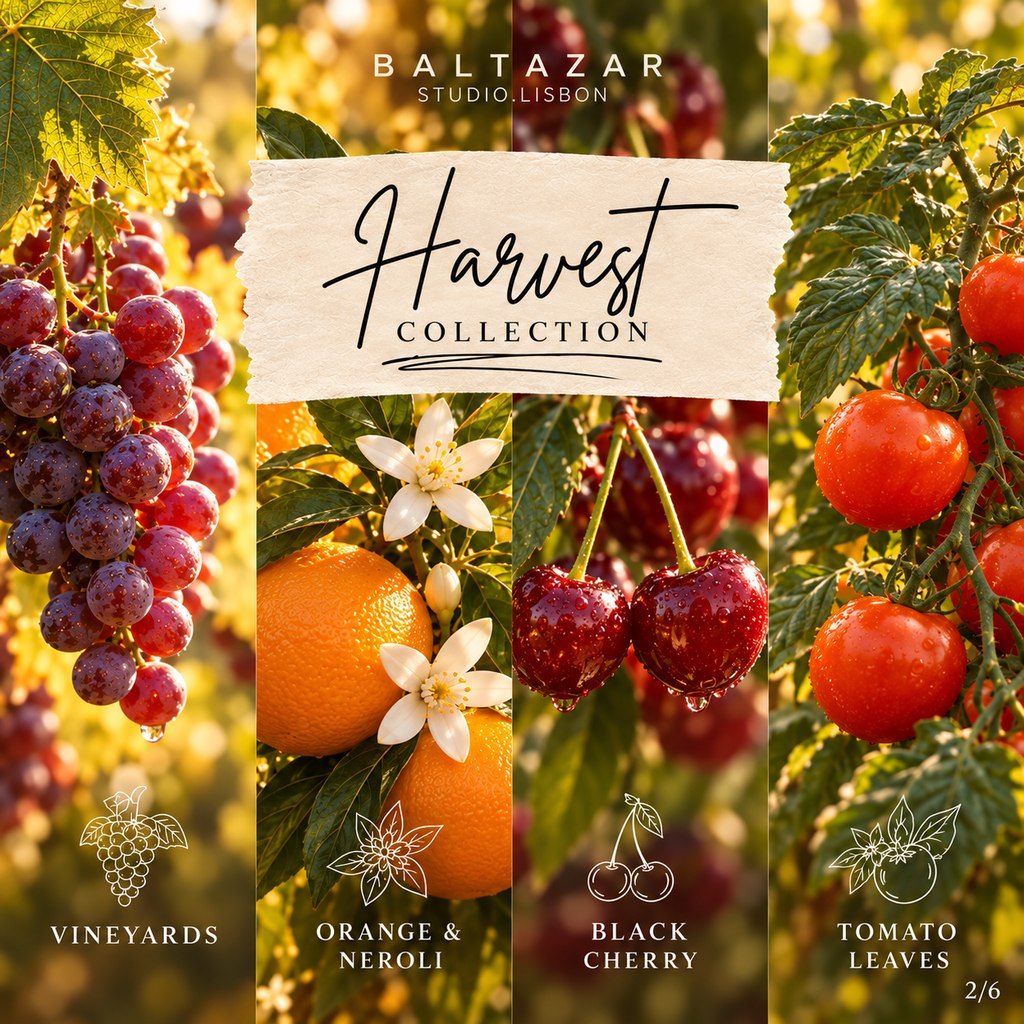 Harvest Signature Duo | Vela + Reed Diffuser